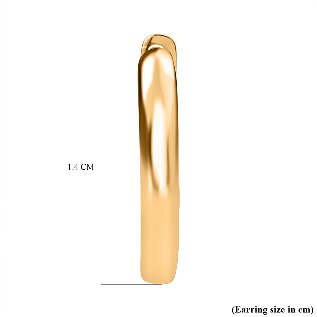 Rachel Galley D'Joy Hoop Earrings in 18K Vermeil Yellow Gold Over Sterling Silver 1.05 Grams