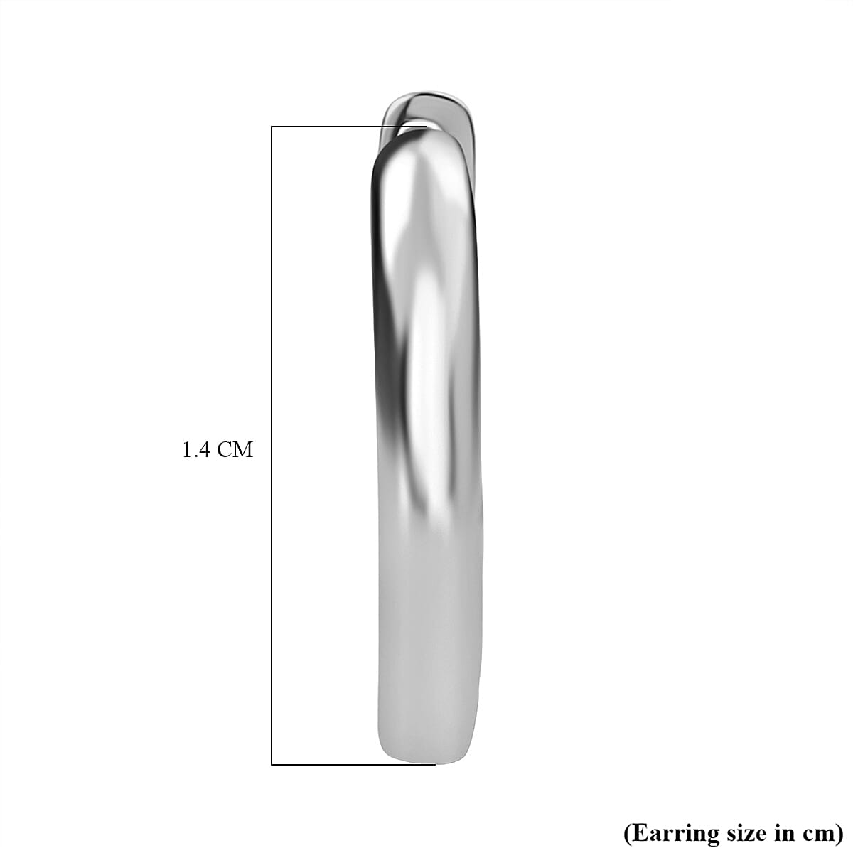 Rachel Galley in Rhodium OverSterling Silver Full Hoop Earring image number 4