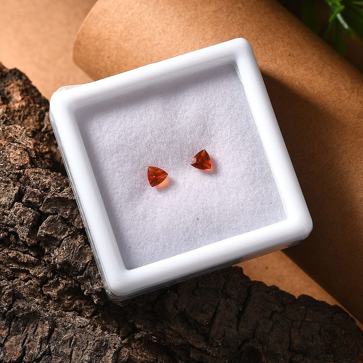 Fire Opal Set of 2 (Trl 4 mm) 0.28 ctw Loose Gemstone image number 1