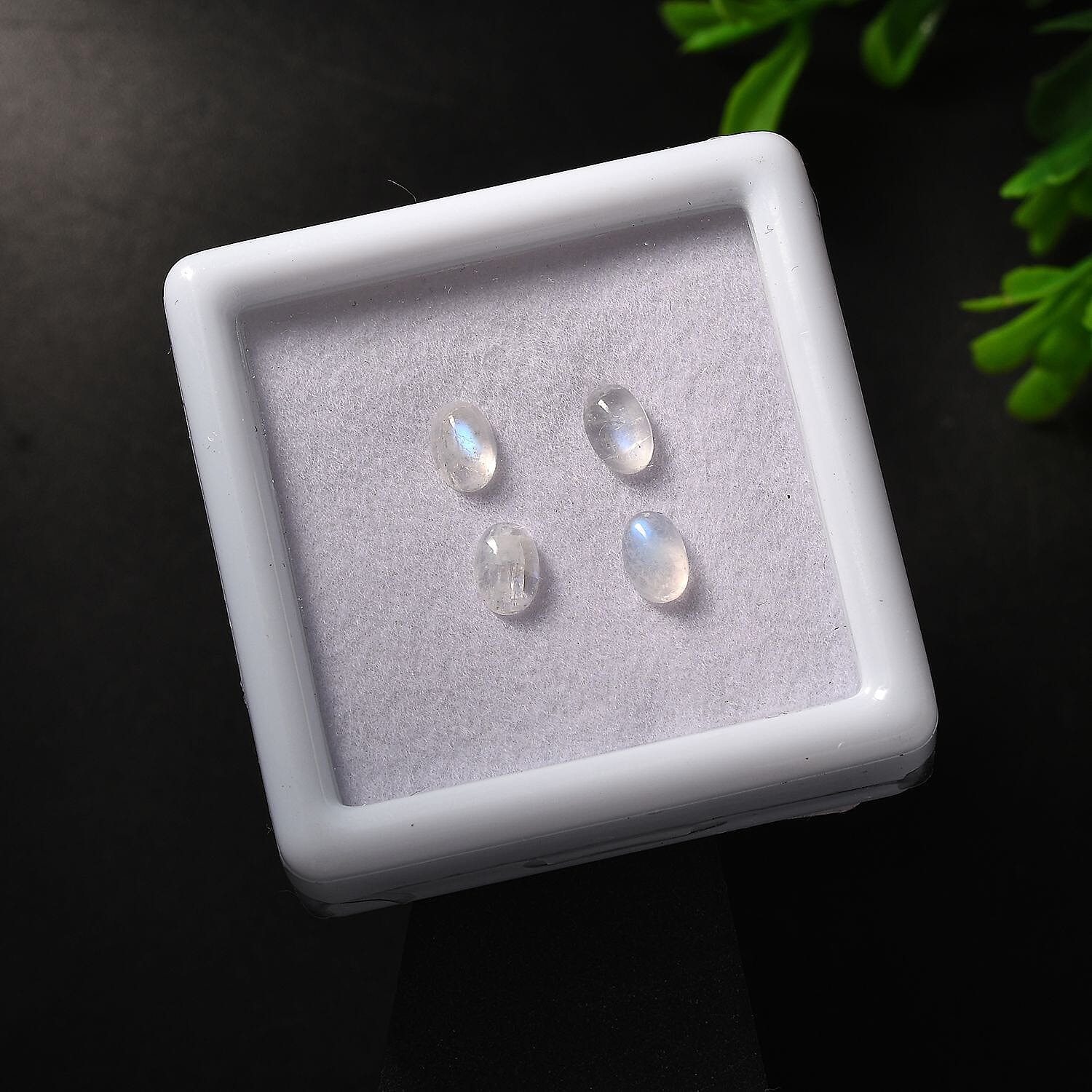 AA Rainbow Moonstone Set of 4 (Ovl 6x4 mm) 1.73 ctw Loose Gemstone