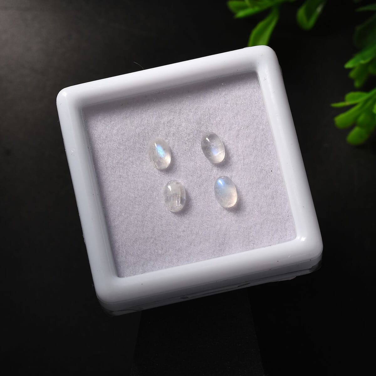 AA Rainbow Moonstone Set of 4 (Ovl 6x4 mm) 1.73 ctw Loose Gemstone image number 1
