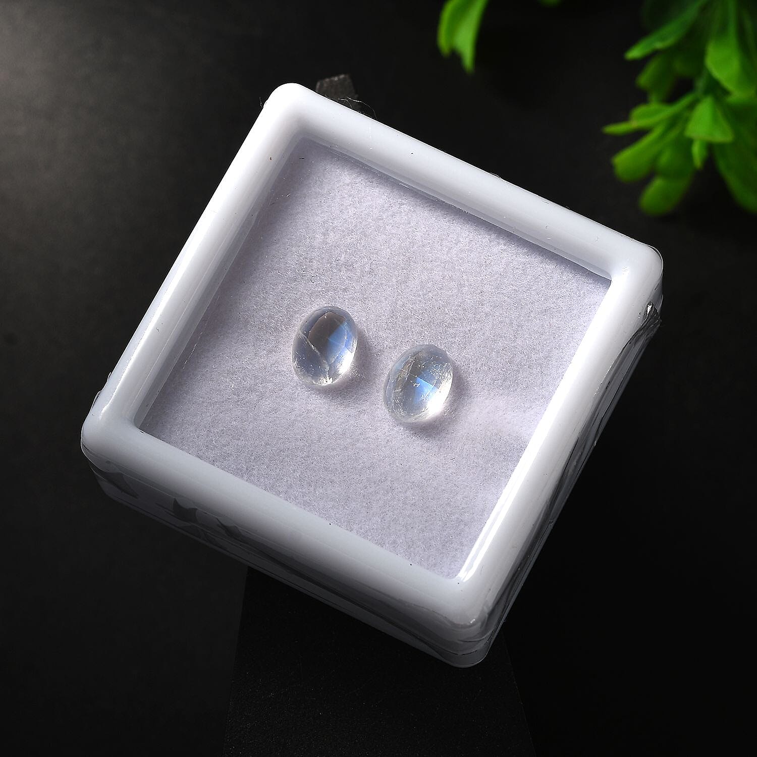 Rainbow Moonstone Set of 2 (Ovl 8x6 mm) 2.19 ctw Loose Gemstone
