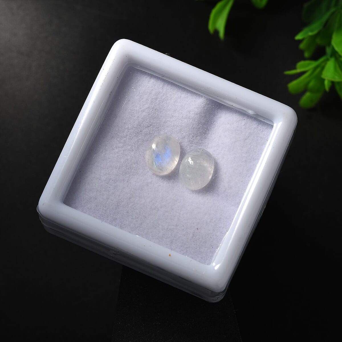 Rainbow Moonstone Set of 2 (Ovl 9x7 mm) 3.57 ctw Loose Gemstone image number 1