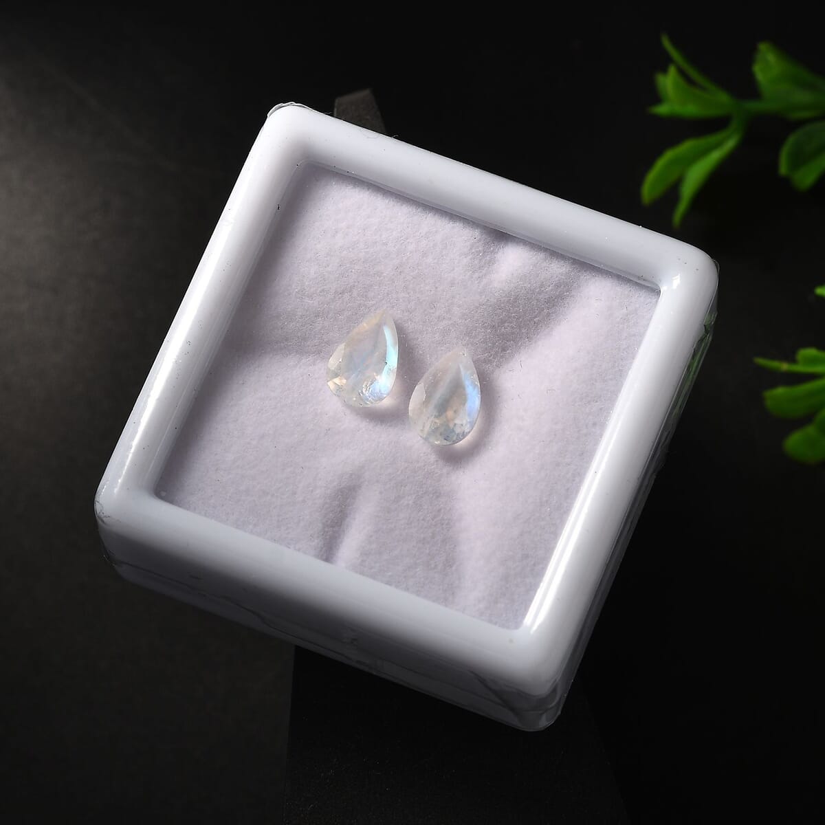 AA Rainbow Moonstone Set of 2 (Ovl 9x6 mm) 2.04 ctw Loose Gemstone image number 1