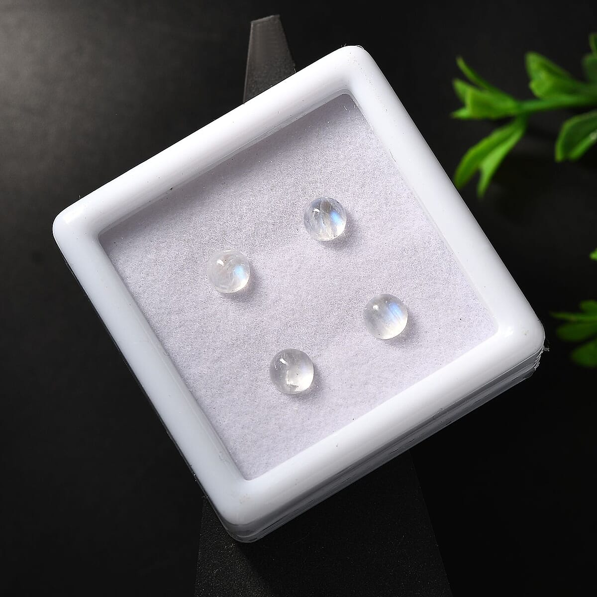 AA Rainbow Moonstone Set of 4 (Rnd 5 mm) 1.99 ctw Loose Gemstone image number 1