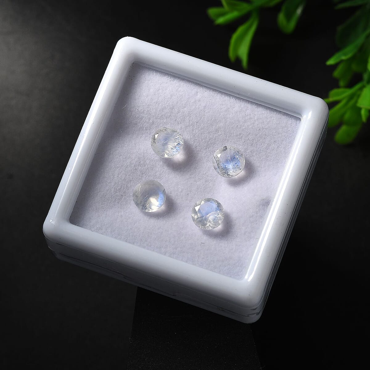 AA Rainbow Moonstone Set of 4 (Rnd 6 mm) 3.05 ctw Loose Gemstone image number 1
