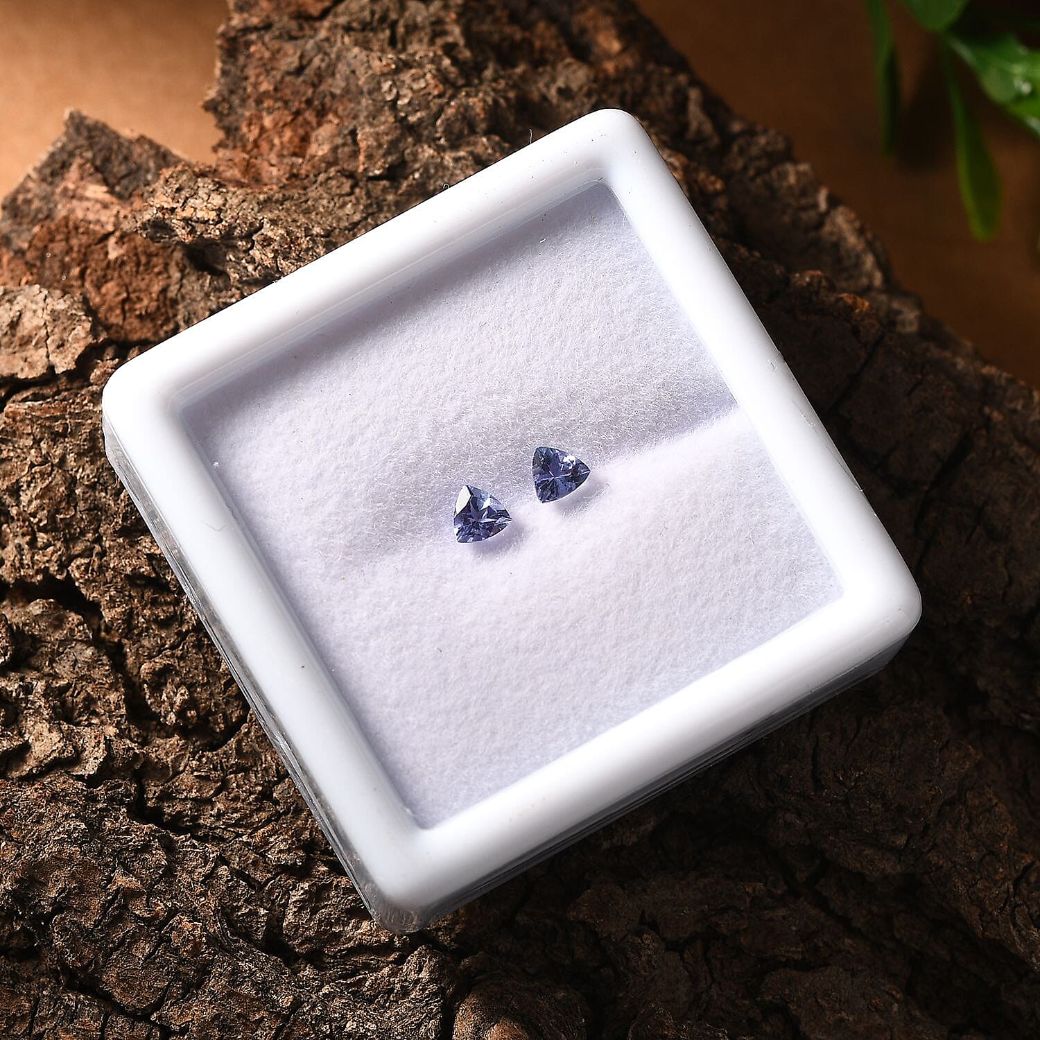 Default Title - Product card gallery slide 2 (10146194751771)