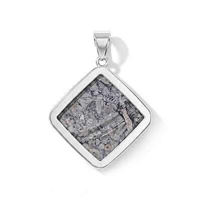 Plain Square Insect Fossil Jasper 69.00 ctw Inlay Frame Pendant without Chain in Silvertone