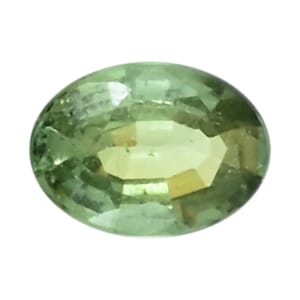 Collector's Edition AAAA Demantoid Garnet (Ovl 7x5 mm) 0.80 ctw