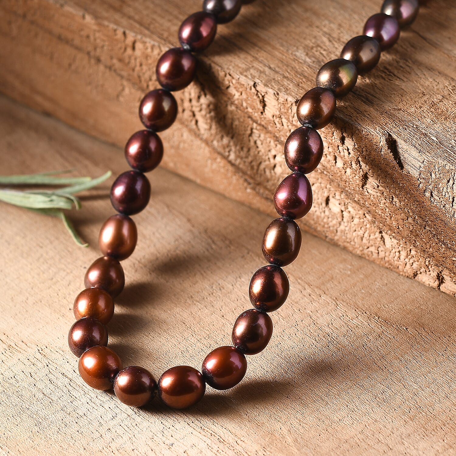 Default Title - Product card gallery slide 2 (10146213069083)