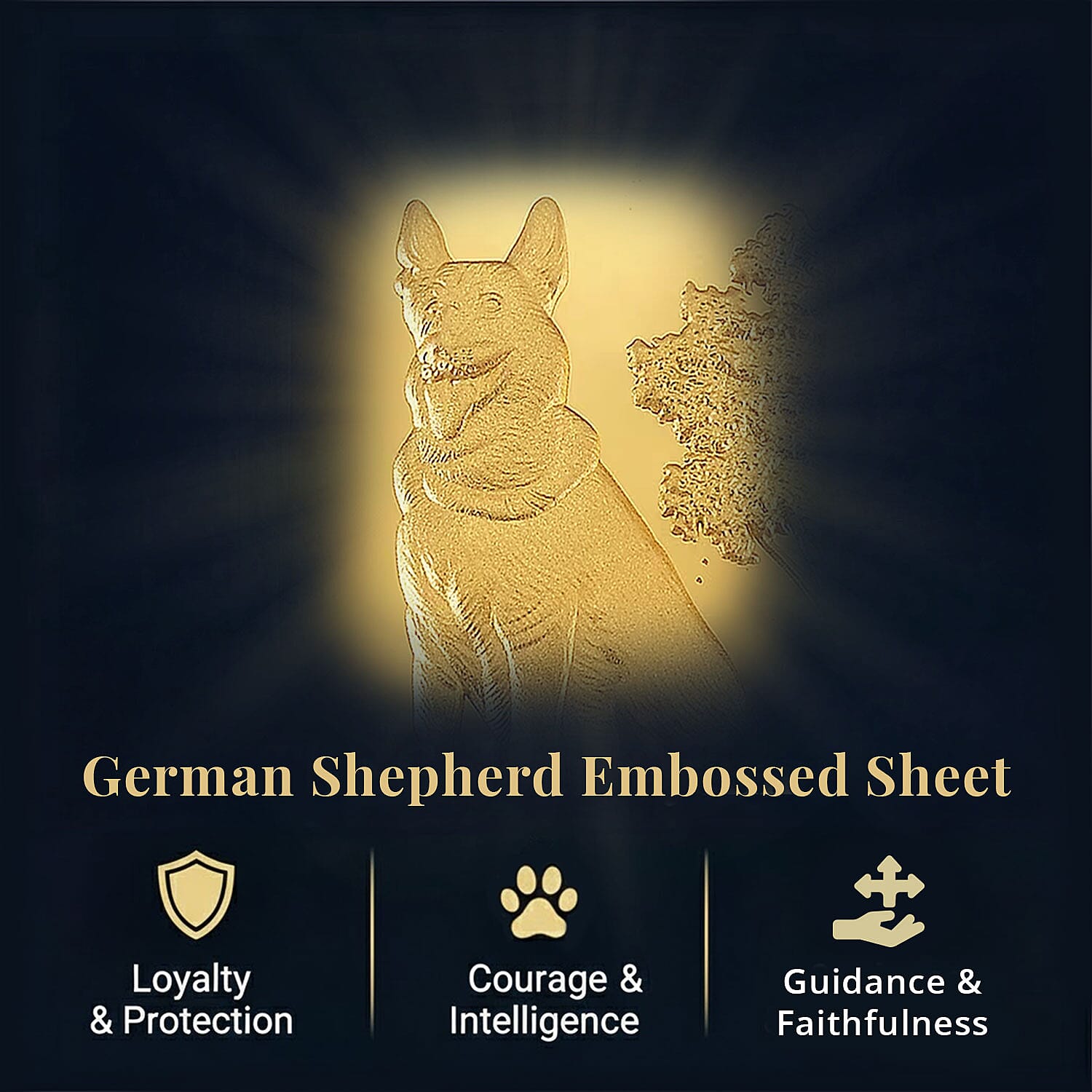 Default Title - Product card gallery slide 3 (10146282963227)