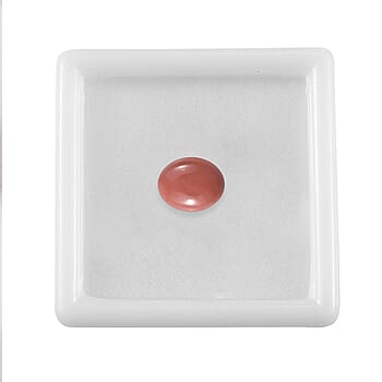 Default Title - Product card gallery slide 4 (10178086633785)