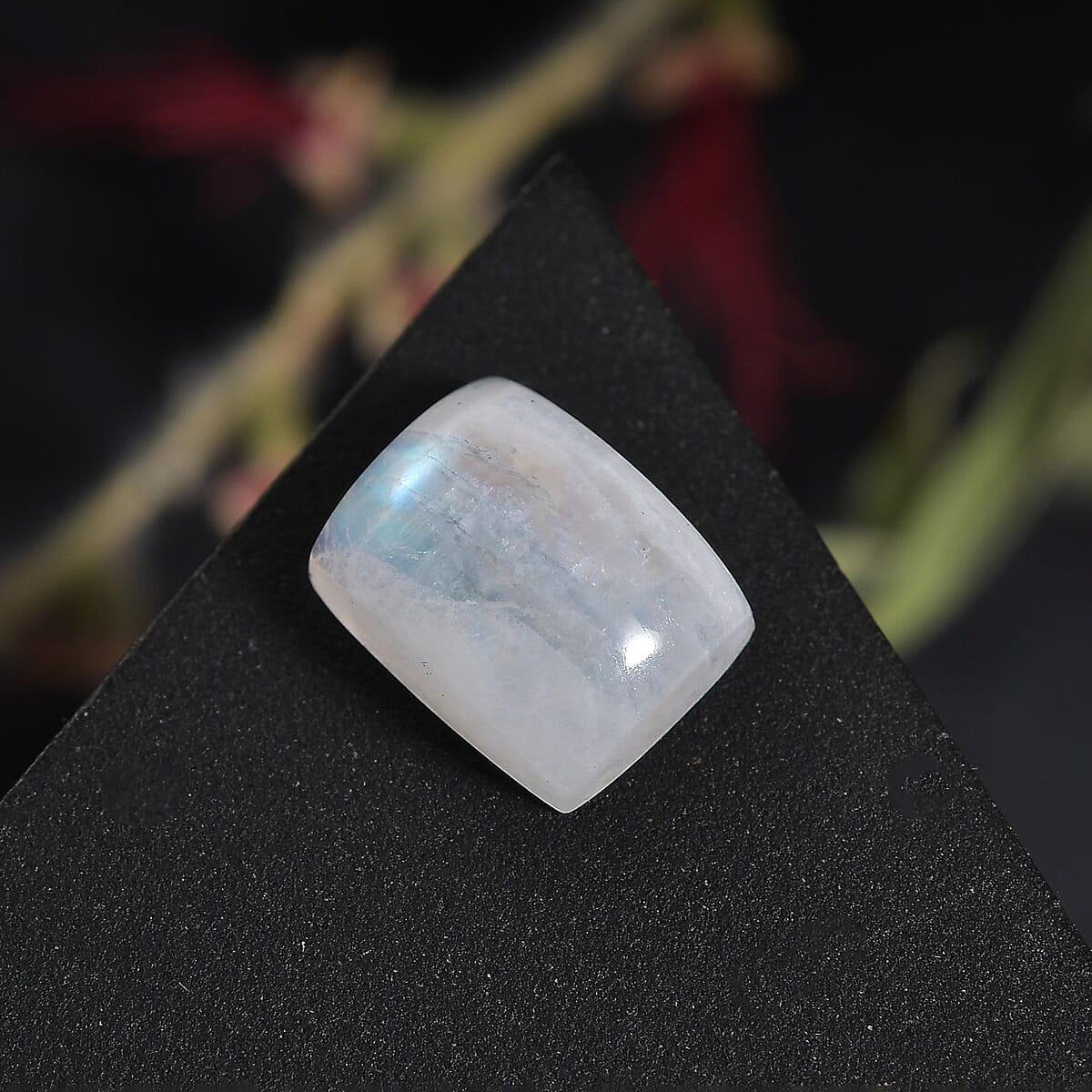 Rainbow Moonstone (Cush 10x8 mm) 2.90 ctw Loose Gemstone image number 1