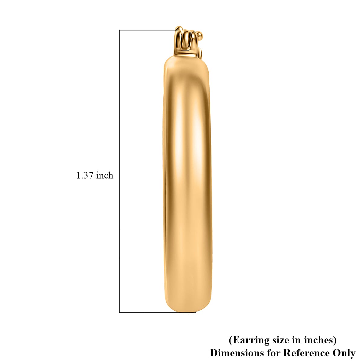 EverTrue Bronzella Collection Hoop Earrings in 18K YG Plated Bronze image number 5