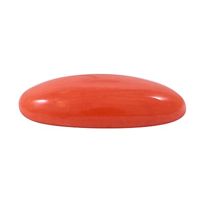 Default Title - Product card gallery slide 2 (10178095776057)