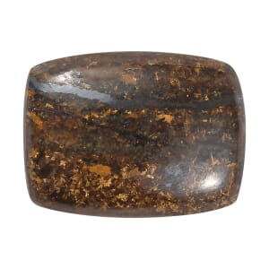 AAA Golden Amphibolite (Cush 16x12 mm) 9.25 ctw Loose Gemstone