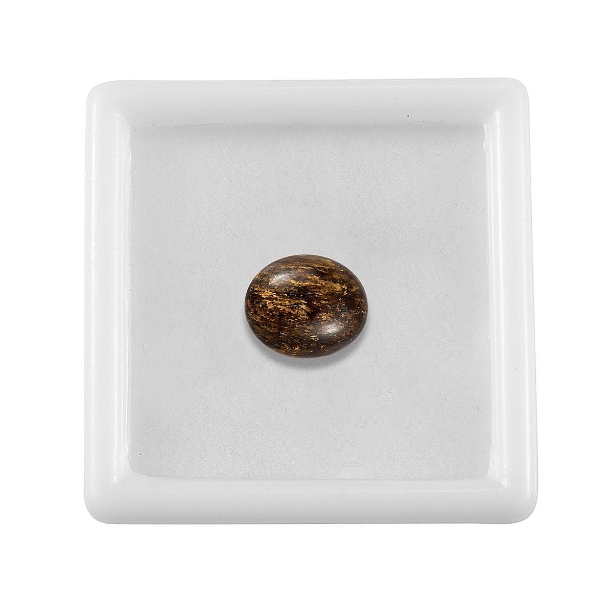 AA Golden Amphibolite (Ovl 11x9 mm) 3.07 ctw Loose Gemstone