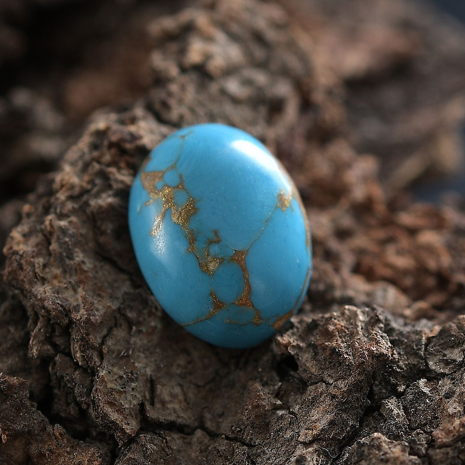 Default Title - Product card gallery slide 2 (10146290434331)