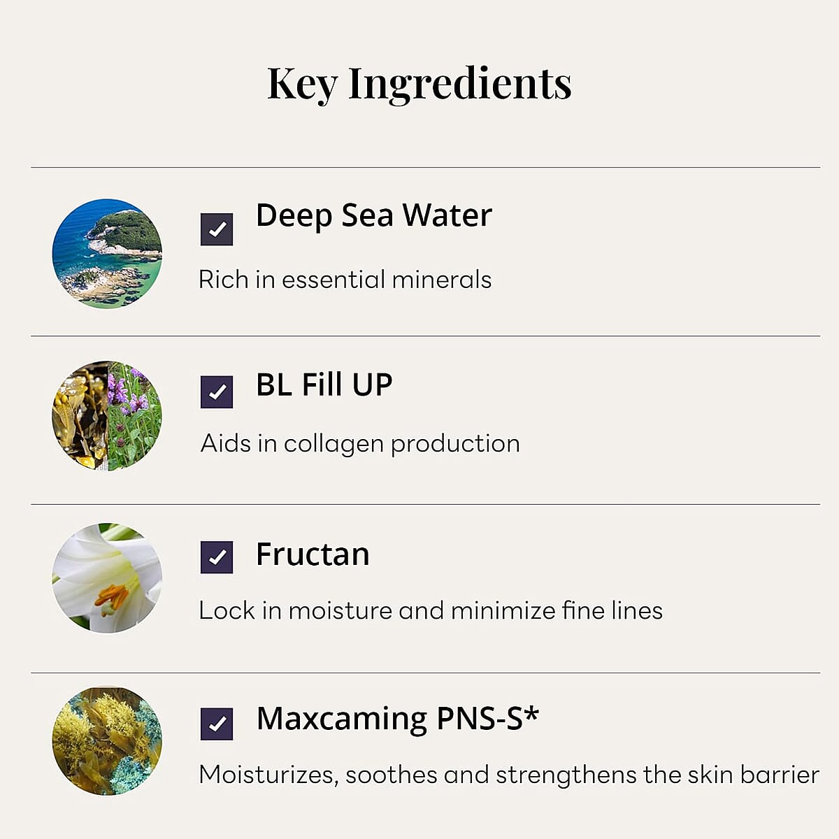 Molvany Volume Impact Protein Cream 3.4oz image number 3