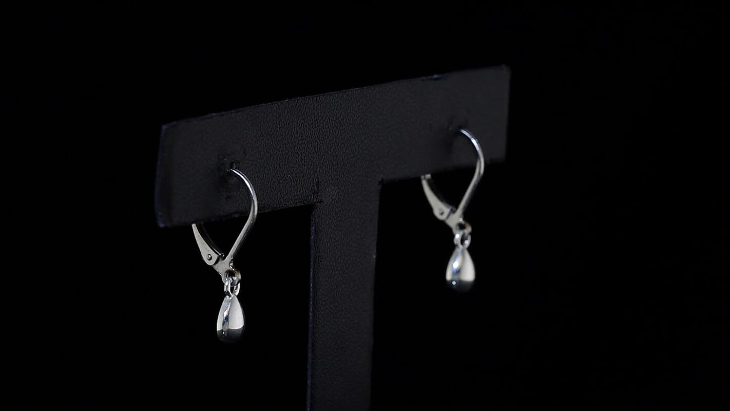 D'Joy Sterling Silver Drop Earrings in Sterling Silver and Stainless Steel