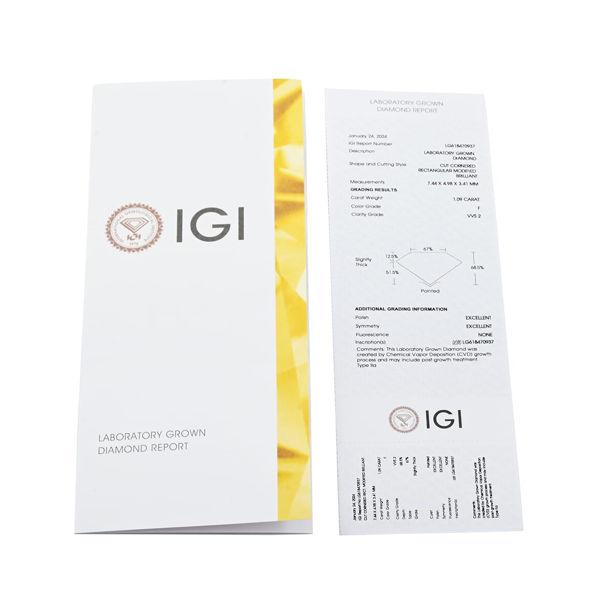 IGI Certified Luxuriant Lab Grown Diamond (Radiant) (G, VS) 1.00 ctw image number 3
