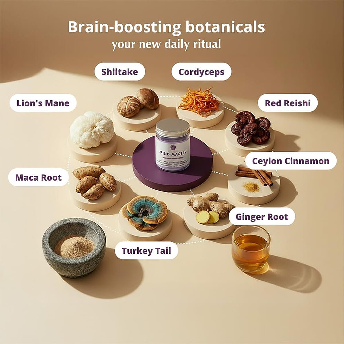 TLV Gula World Mind Master Mushroom Powder for Brain Health, Energy, & Clarity Dietary Supplement (2.1oz) (Buy One Get One) image number 4