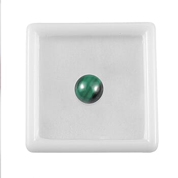 Default Title - Product card gallery slide 4 (10178111275321)