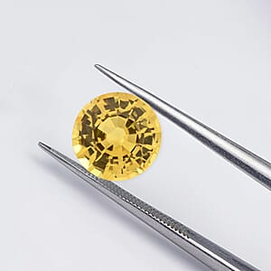 AAAA Yellow Sapphire (Rnd 5.5 mm) 0.75 ctw