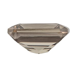 AAAA Turkizite (Oct Free Size) 3.00 ctw