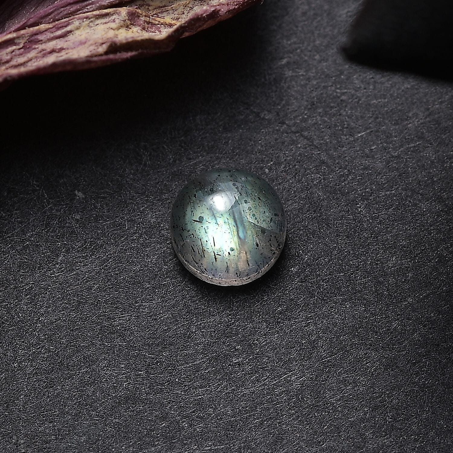 Default Title - Product card gallery slide 2 (10146260156699)