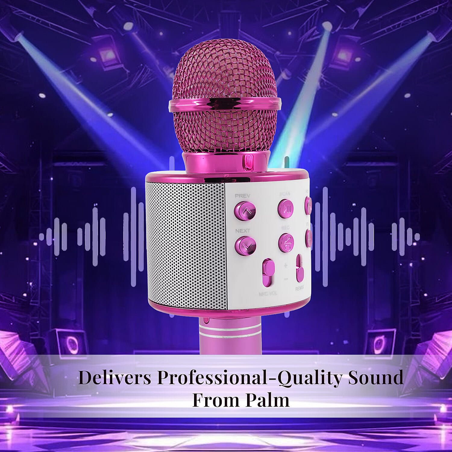 Handheld Karaoke Microphone