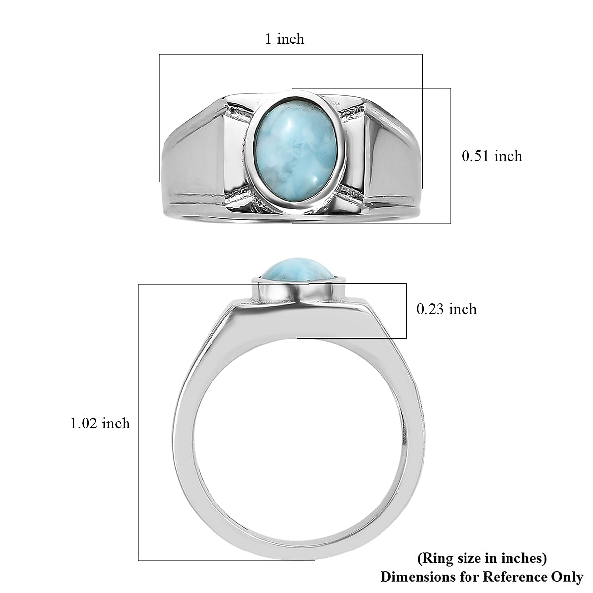 EverTrue AAA Larimar 2.25 ctw Ocean Shield Men's Ring in Stainless Steel (Size 10.0)