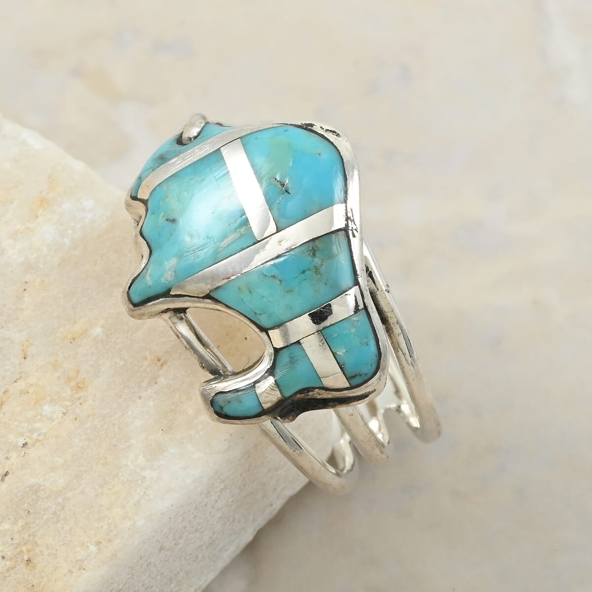 Santa Fe Style Kingman Turquoise 7.00 ctw Ring in Sterling Silver (Size 10.0) image number 1