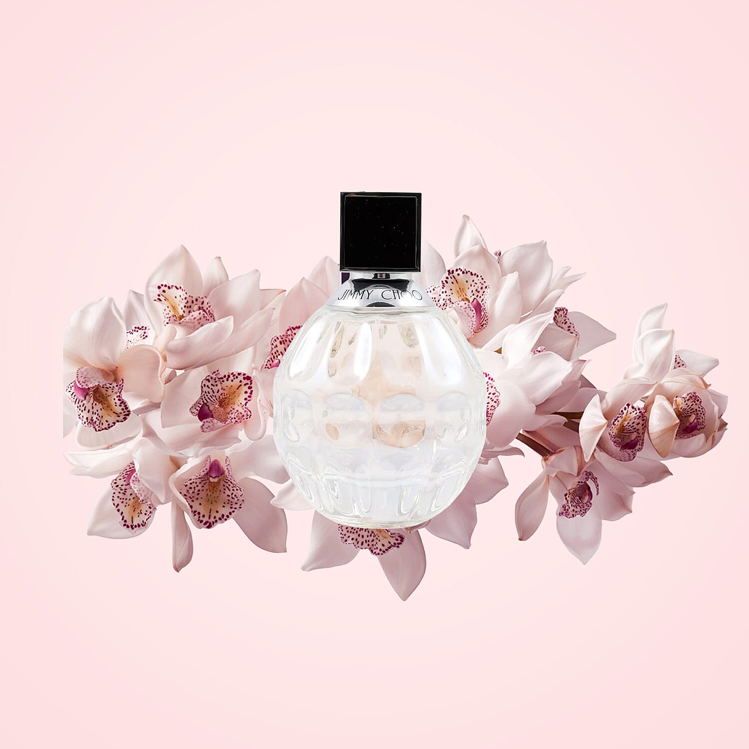 Jimmy Choo/Jimmy Choo EDT Spray 2.0 Oz