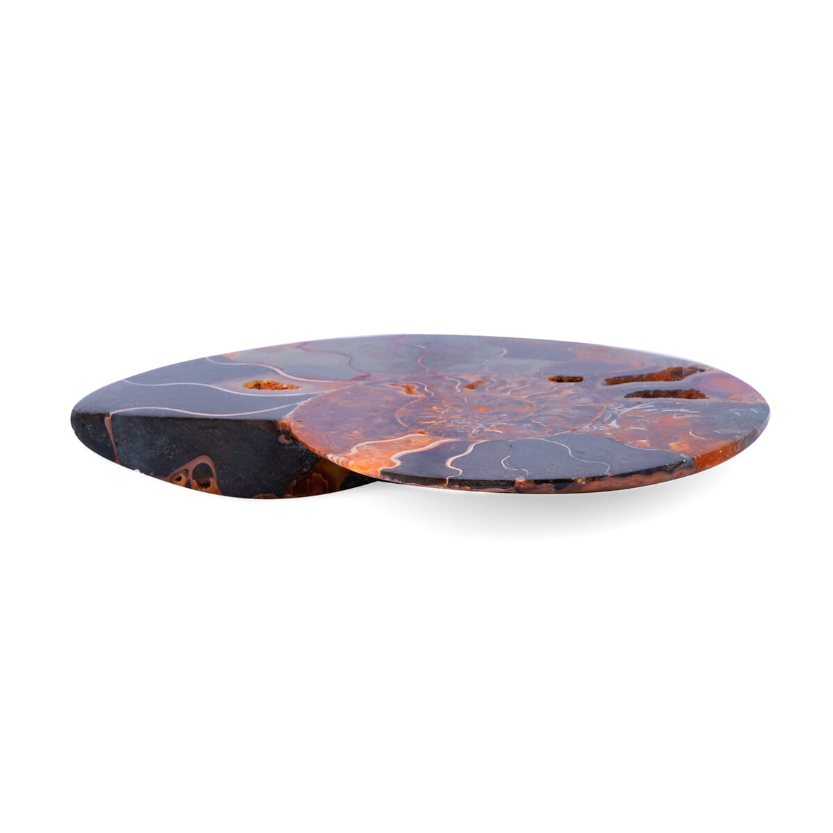 Ammonite 5-6 Approx 3150ctw image number 2