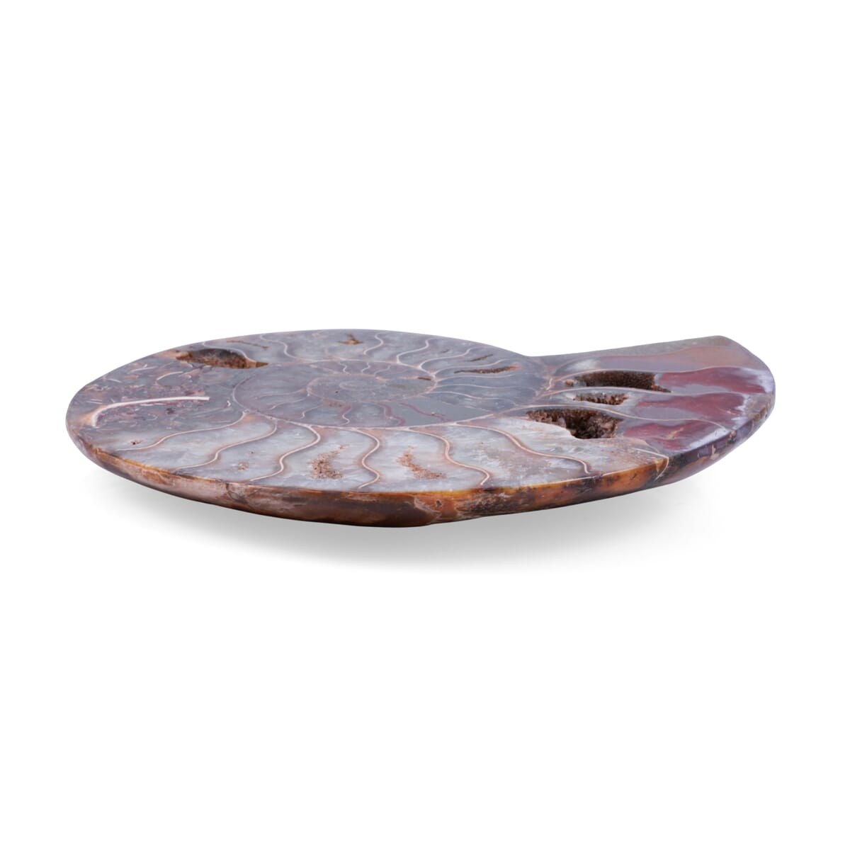 Ammonite 6-7 Approx 5200ctw image number 1
