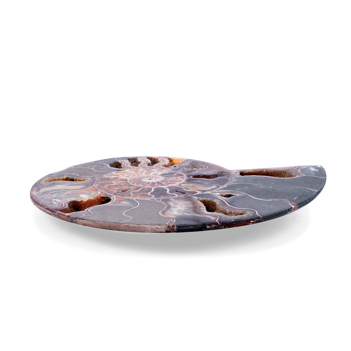 Ammonite 8-9 Approx 10800ctw image number 1
