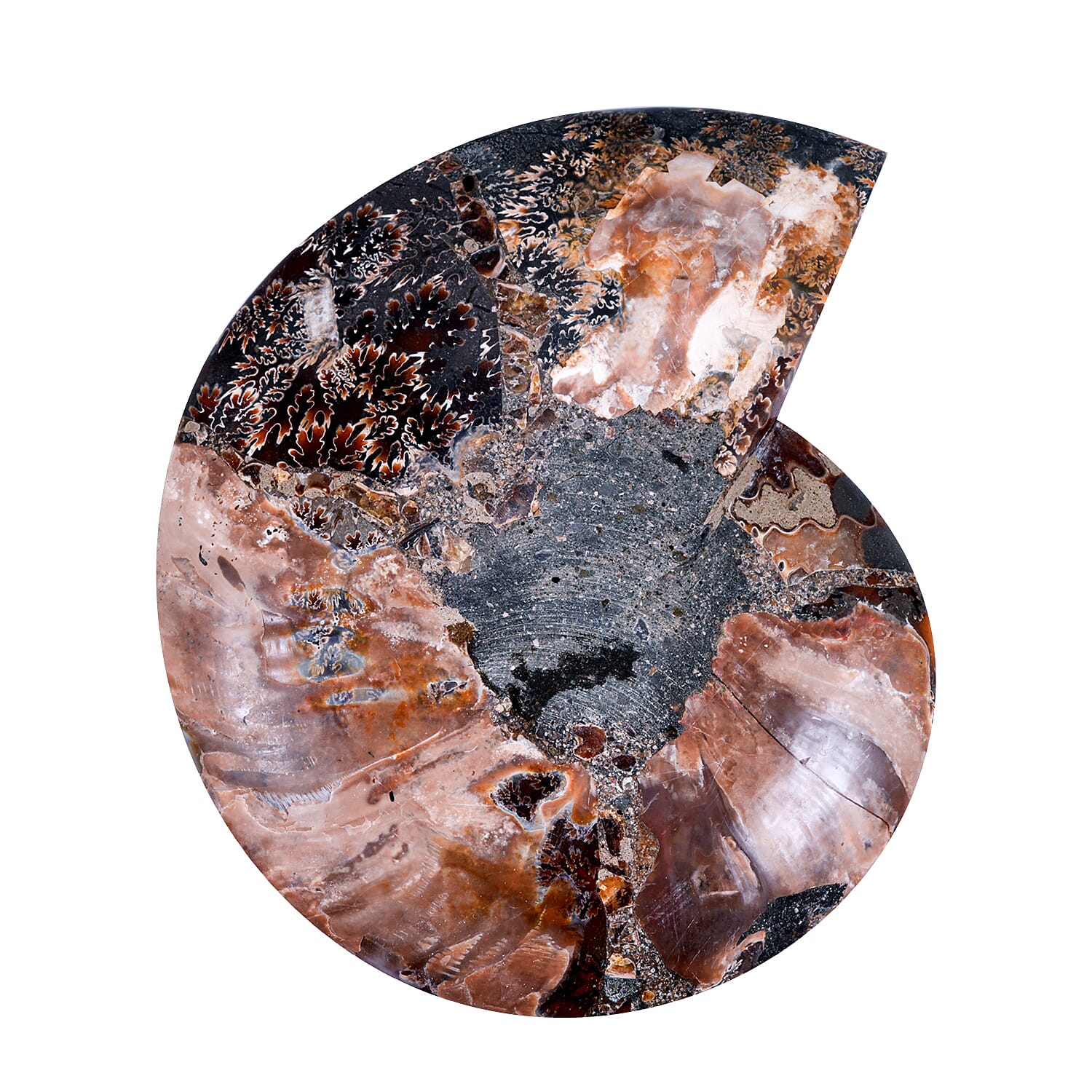 Ammonite 8-9 Approx 10800ctw