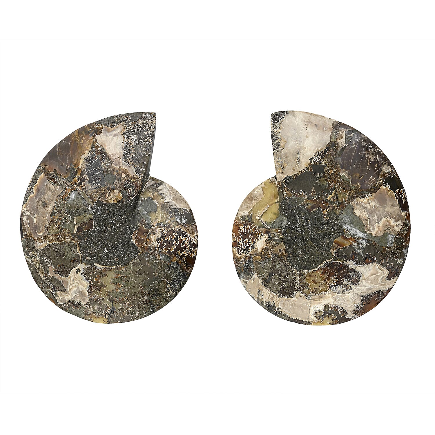 Ammonite 9-10 Approx 12200ctw