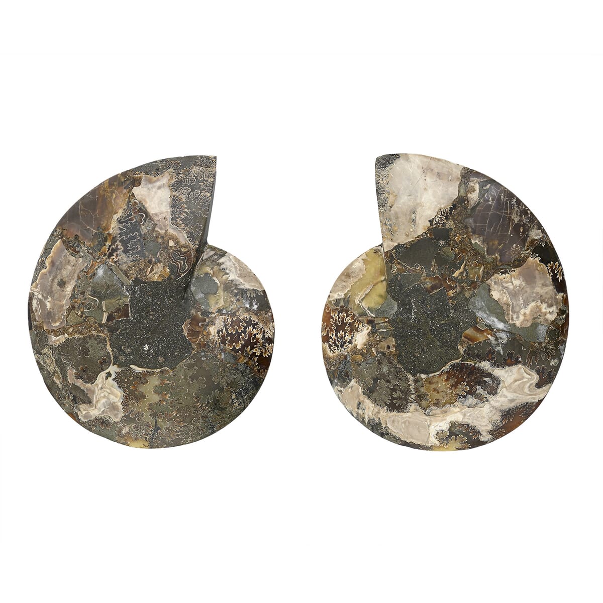 Ammonite 9-10 Approx 12200ctw image number 1