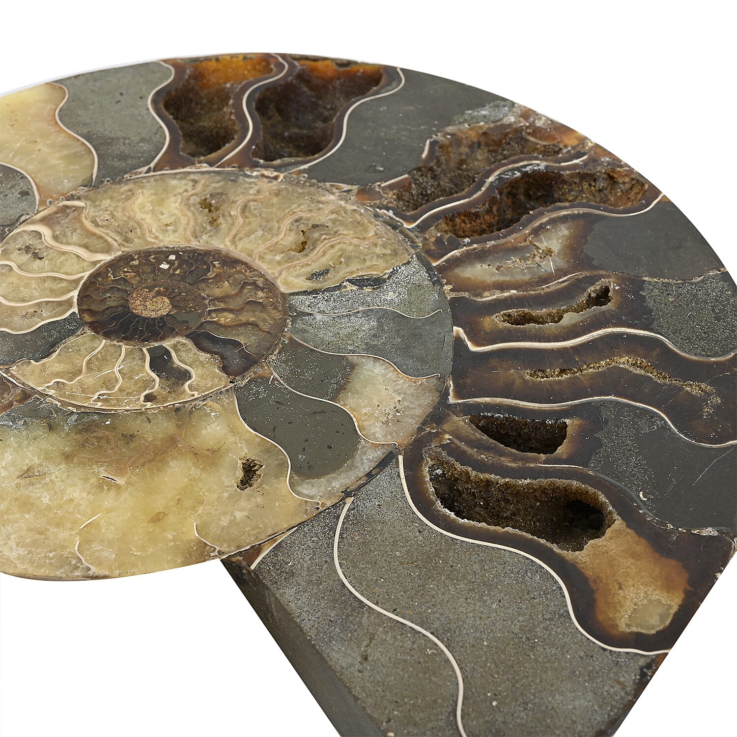 Ammonite 9-10 Approx 12200ctw