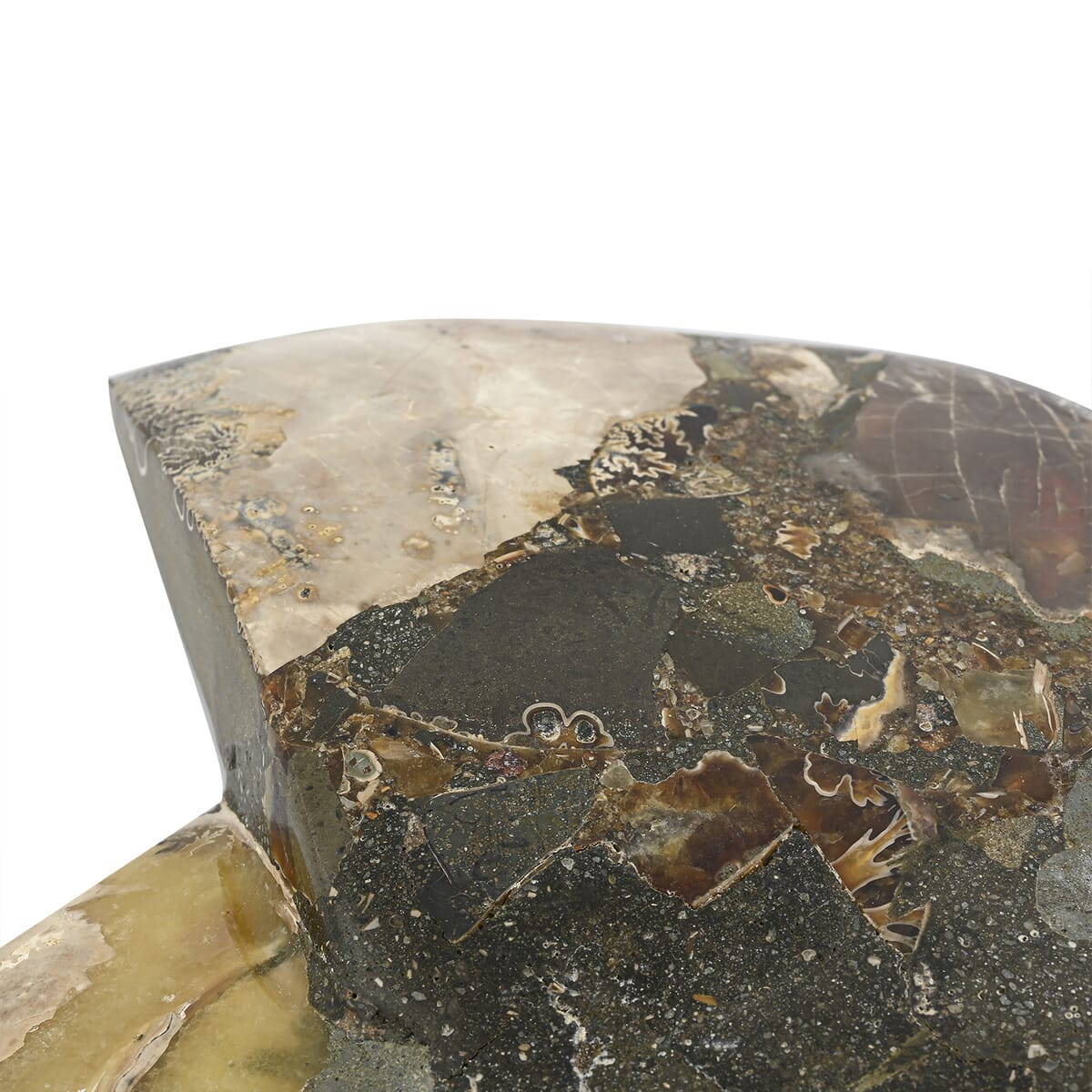 Ammonite 9-10 Approx 12200ctw image number 3