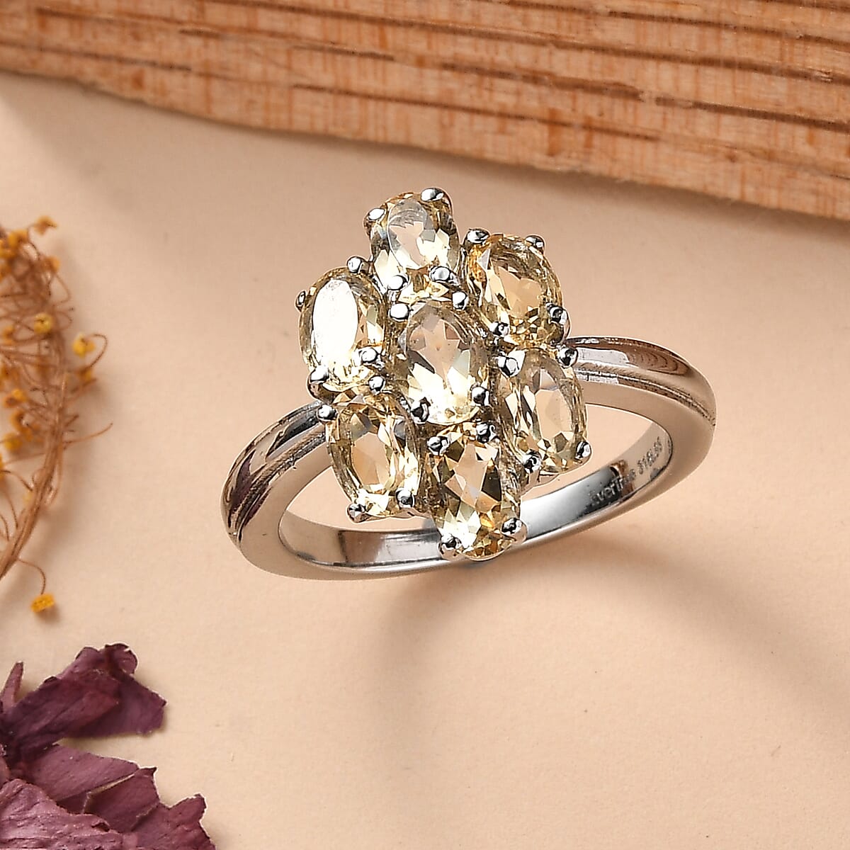 EverTrue Brazilian Citrine 3.35 ctw Ring in Stainless Steel (Size 6.0)  image number 1