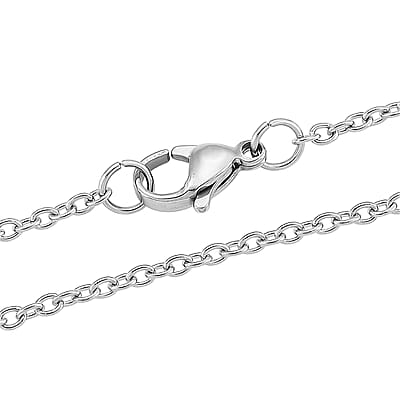 Miraculous Medal Necklace in Stainless Steel 20-22 Inches