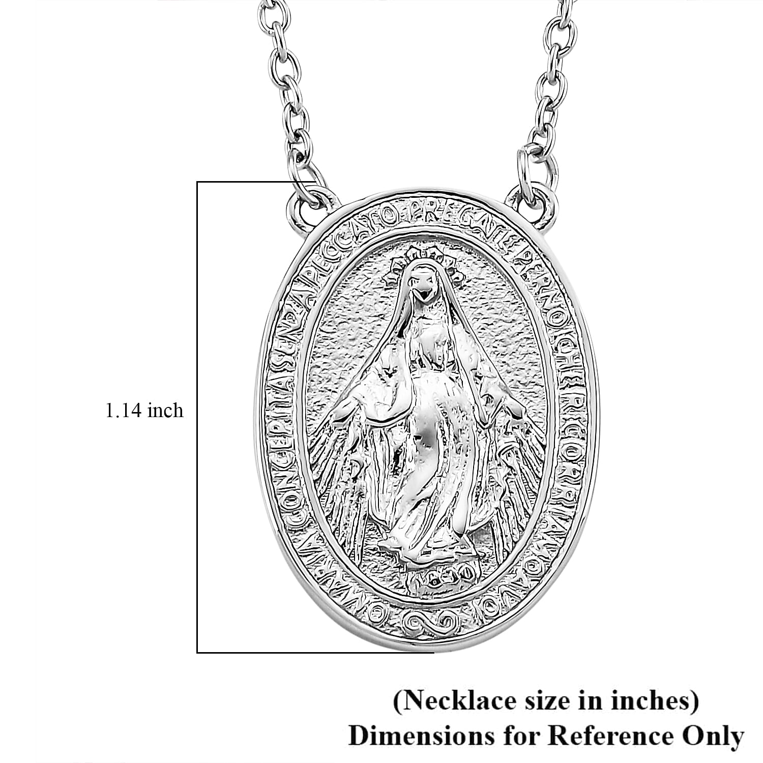 Miraculous Medal Necklace in Stainless Steel 20-22 Inches