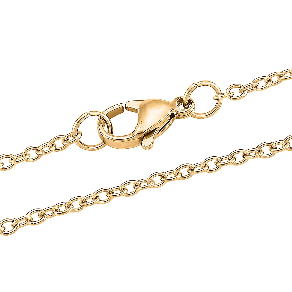 Miraculous Medal Necklace in ION Plated YG Stainless Steel 20-22 Inches image number 4