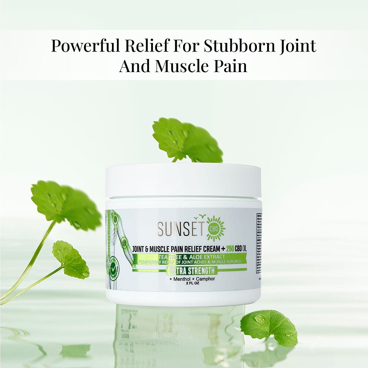 Sunset CBD Green Tea Tree Pain Relief Cream + Tea Tree & Aloe 500MG | 4oz image number 1