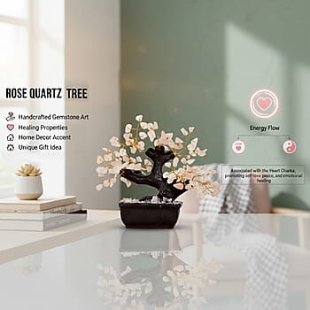 Default Title - Product card gallery slide 2 (10198326378809)