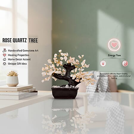 Default Title - Product card gallery slide 2 (10198326378809)