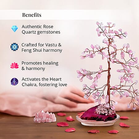 Pink - Product card gallery slide 3 (10178144633145)
